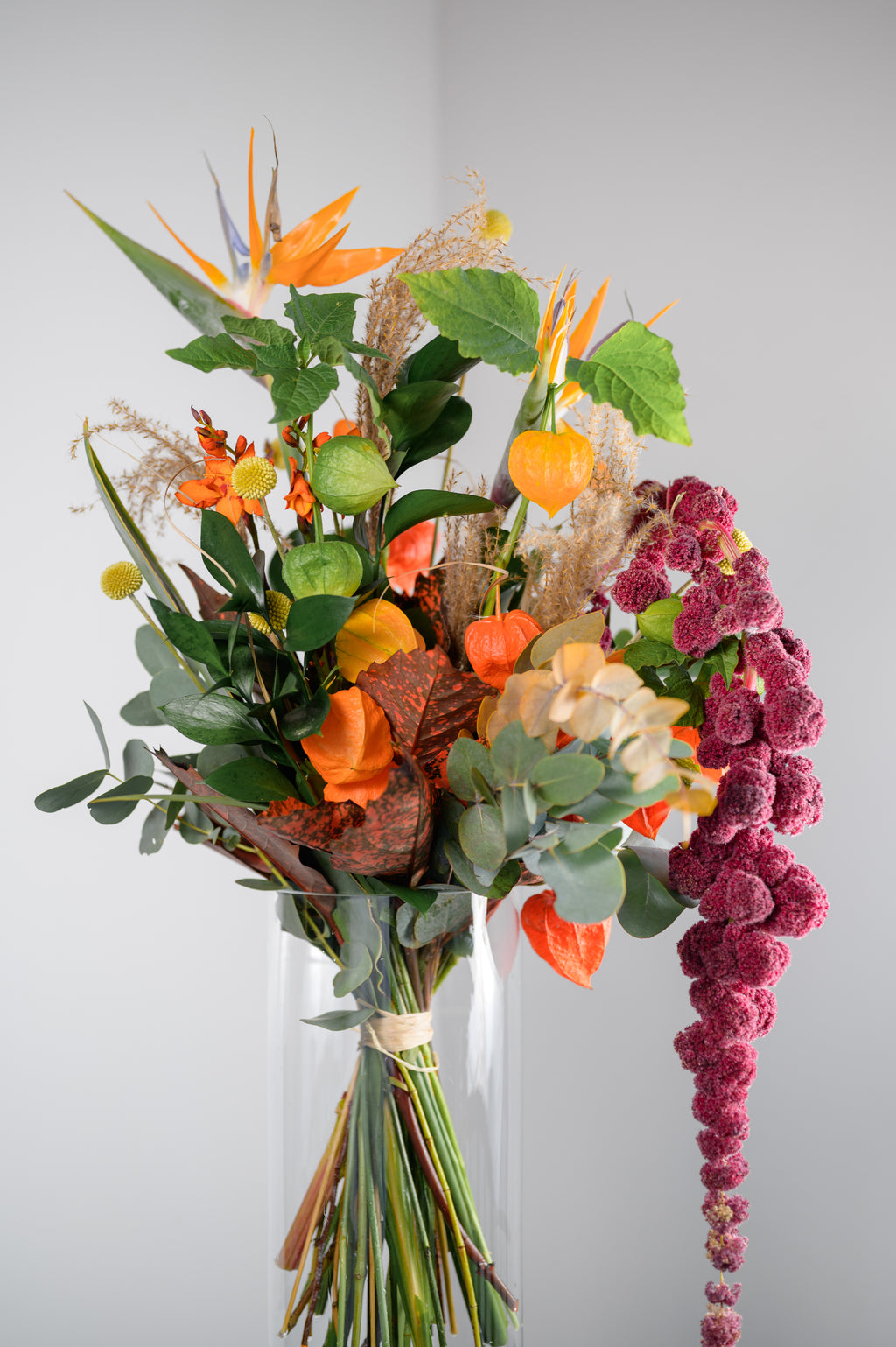Florist's Choice